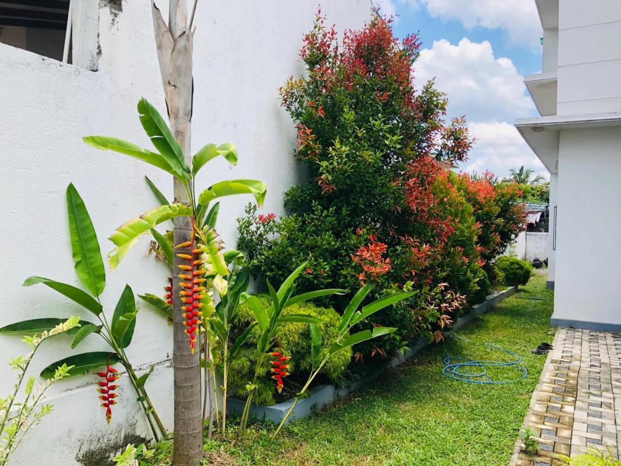 Vidushi Home Minuwangoda Exterior photo